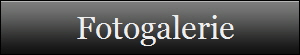 Fotogalerie